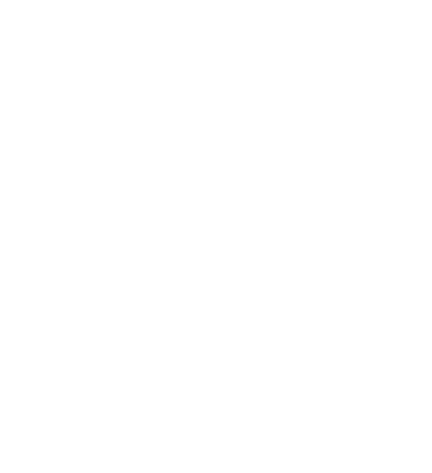 Rief Consulting Logo